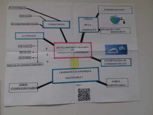 Carte mentale " Développement durable et croissance économique" {JPEG}